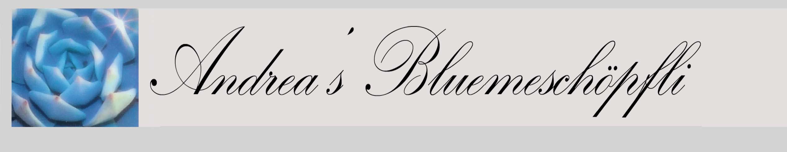 http://www.andreasbluemeschöpfli.ch